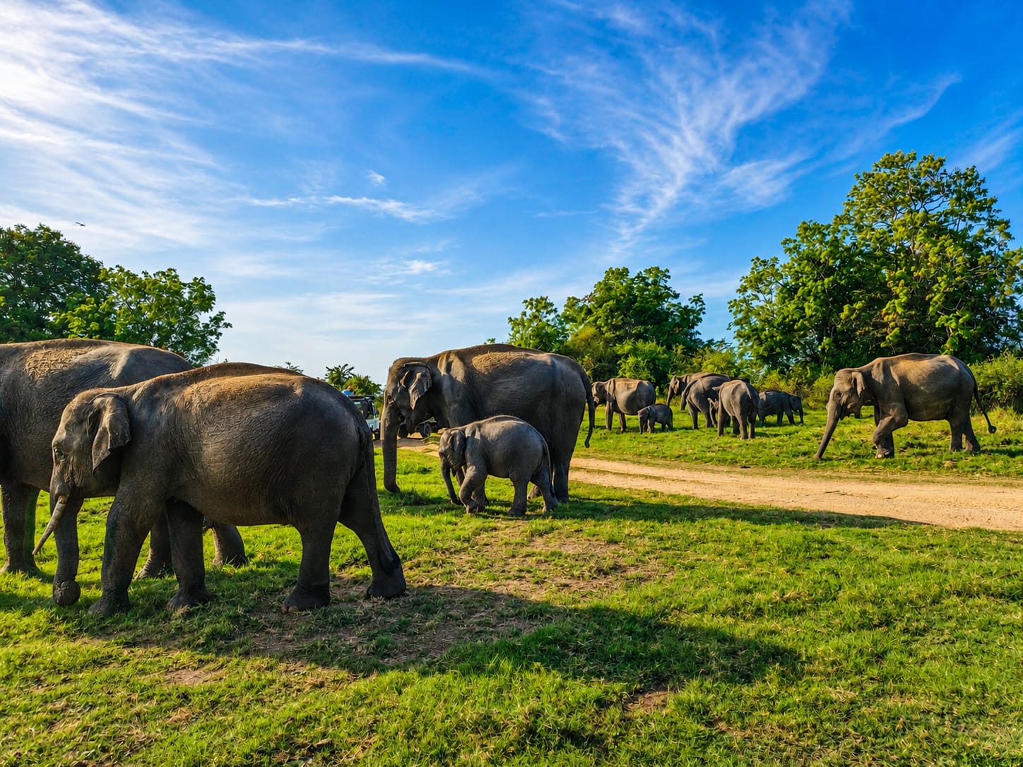 Kaudulla National Park