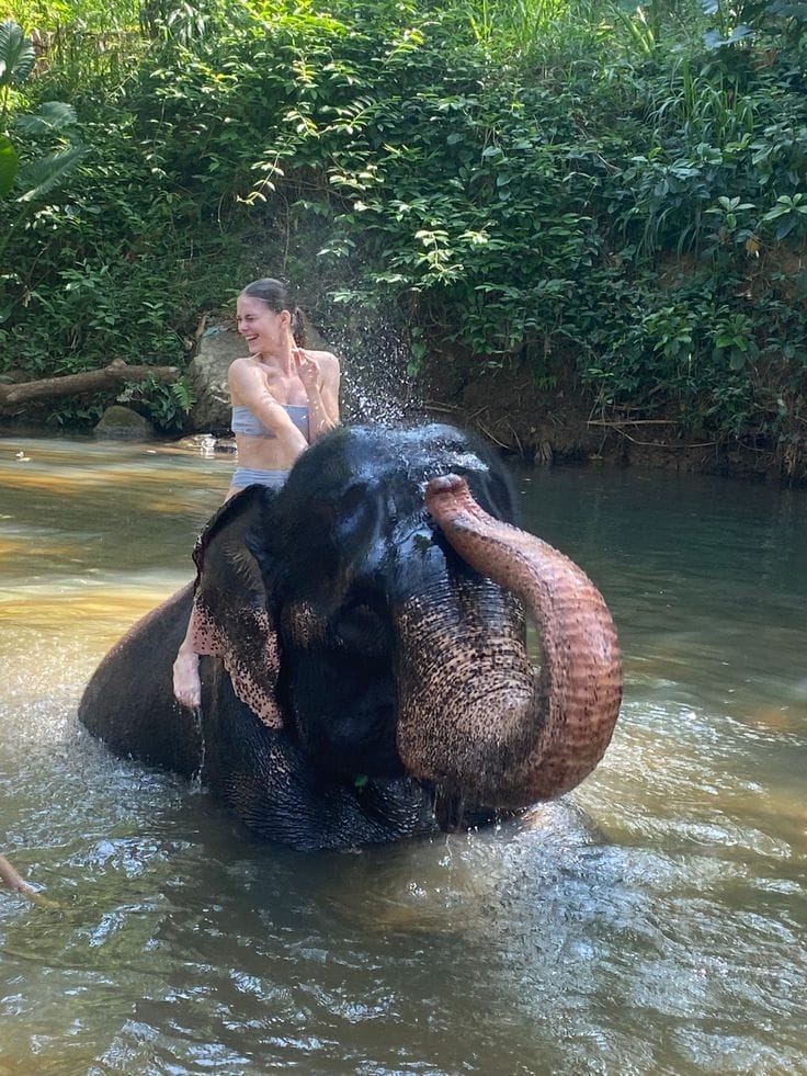 Elephant Bathing & River Splash