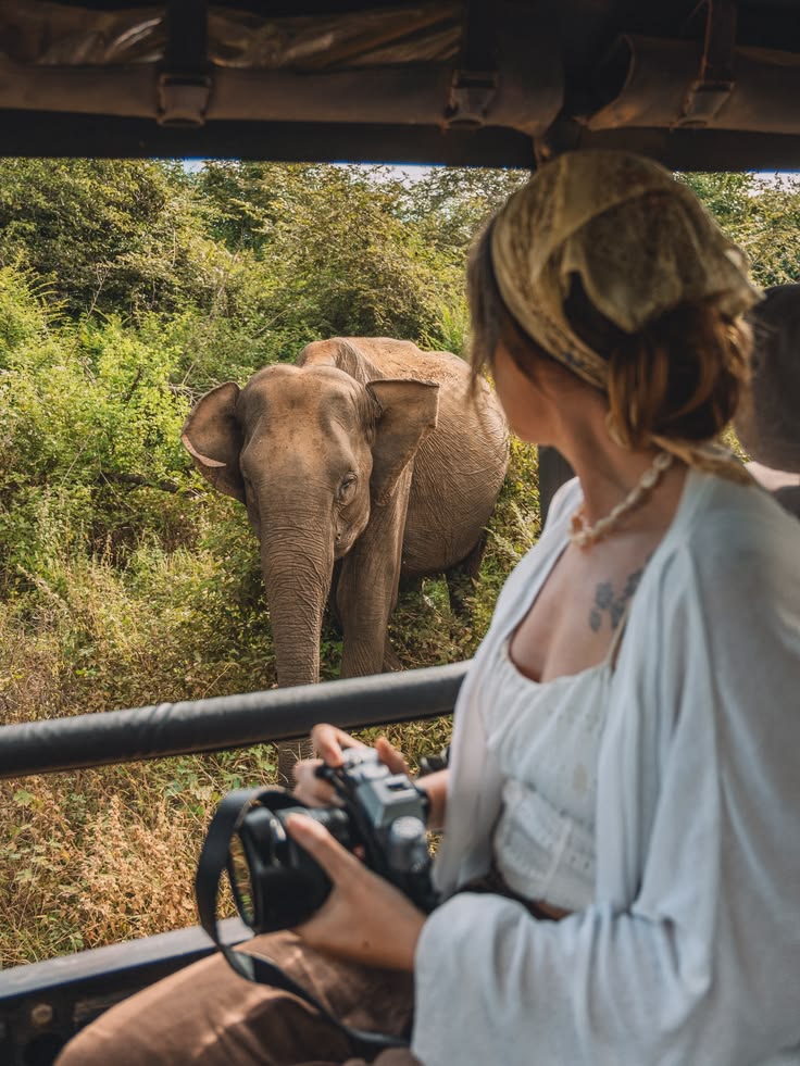 Wildlife Photography from Open Jeep